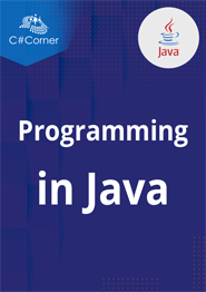 Programming in Java